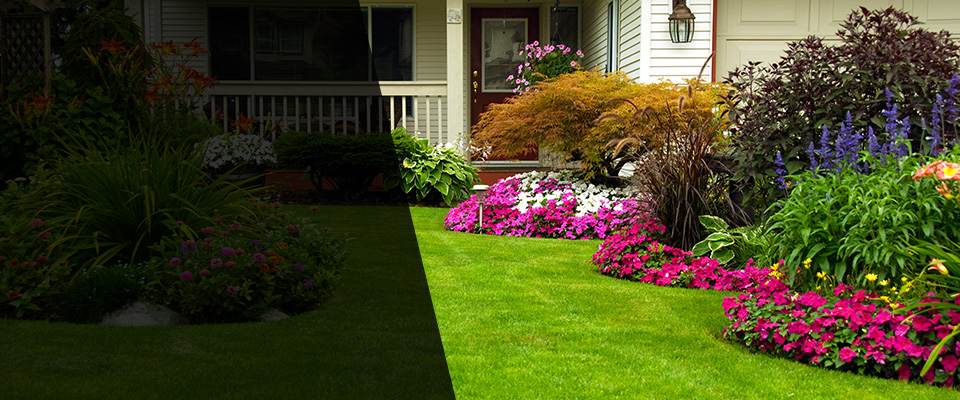 Manassas Landscapers
