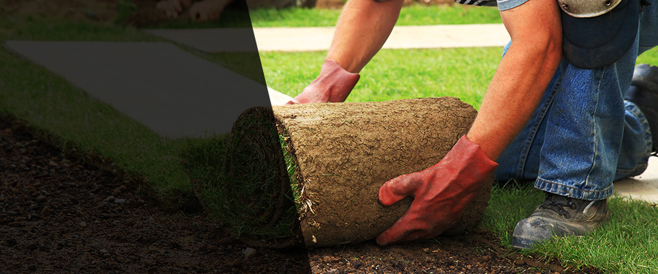 Manassas Landscapers